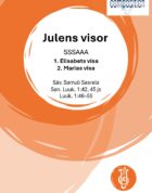 Julens visor