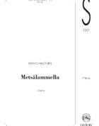Metsälammella
