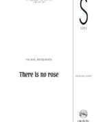 There is no rose